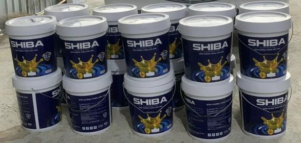 Cách quảng cáo sơn nhà - Shiba