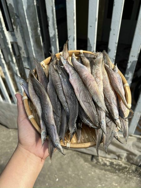 Content bán cá khô - Khô cá chạch