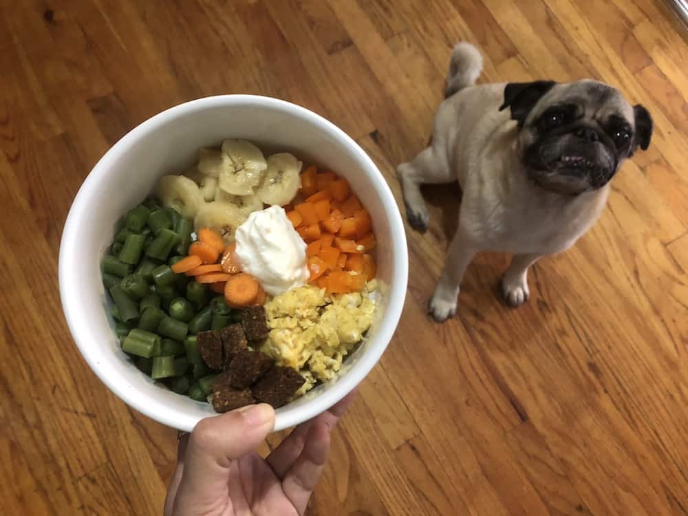 Thức ăn cho chó homemade 