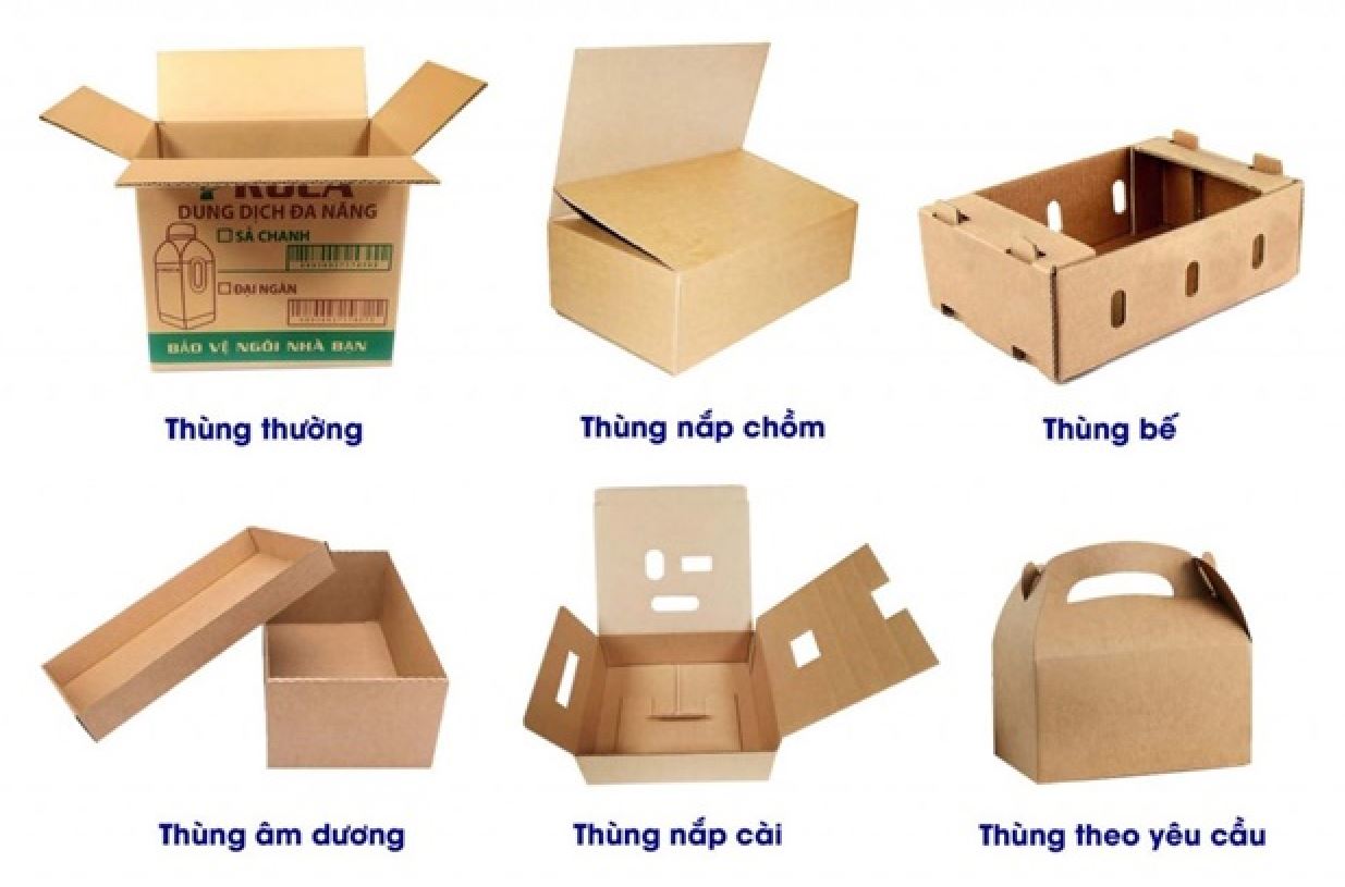 Các loại hộp carton phổ biến hiện nay